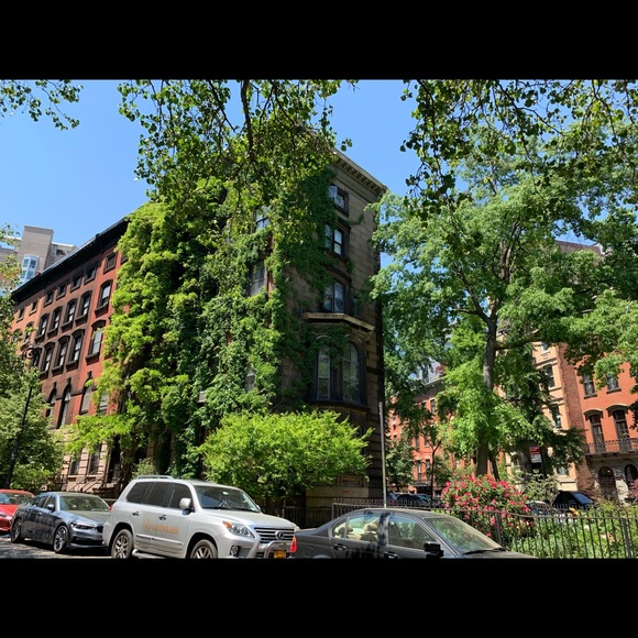 Meet your Posher, Olivia - Picture 1 of 1